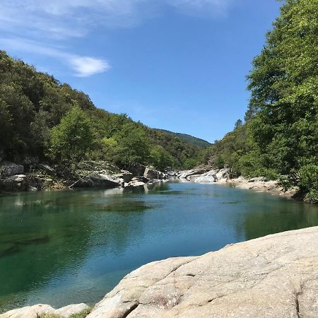 Chambre D'Hote Lavande - Le Soleil Des Cevennes Saint-Jean-du-Gard Exteriér fotografie