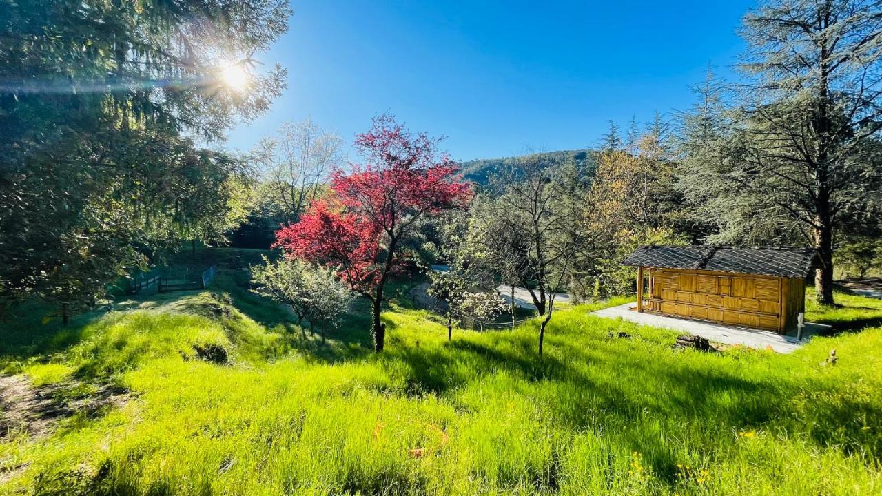 Chambre D'Hote Lavande - Le Soleil Des Cevennes Saint-Jean-du-Gard Exteriér fotografie