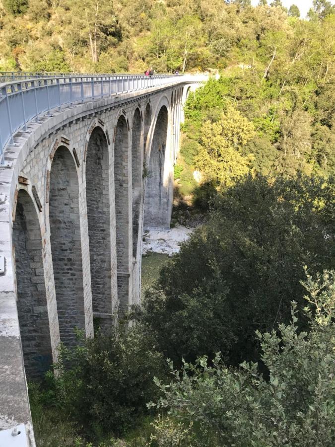 Chambre D'Hote Lavande - Le Soleil Des Cevennes Saint-Jean-du-Gard Exteriér fotografie