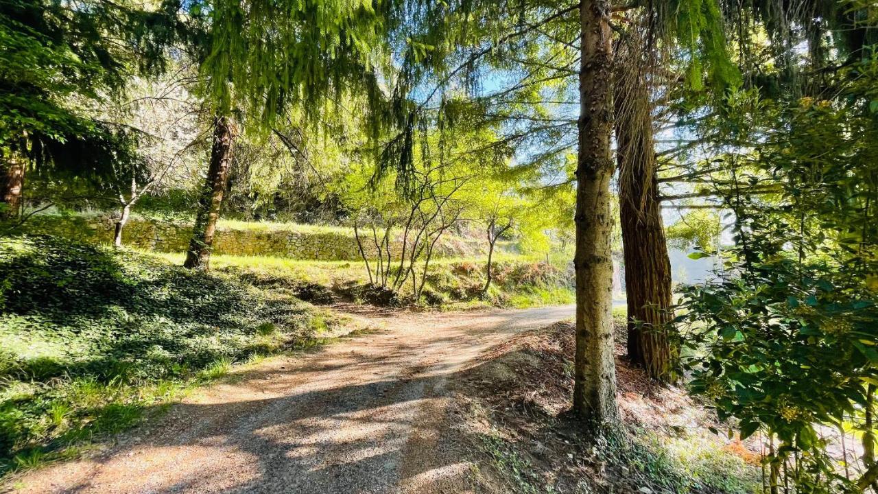 Chambre D'Hote Lavande - Le Soleil Des Cevennes Saint-Jean-du-Gard Exteriér fotografie