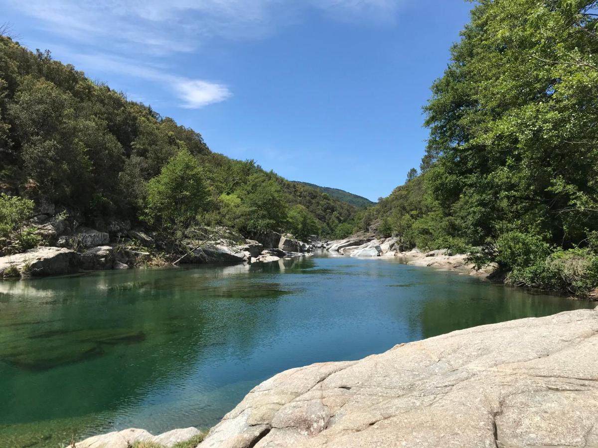 Chambre D'Hote Lavande - Le Soleil Des Cevennes Saint-Jean-du-Gard Exteriér fotografie