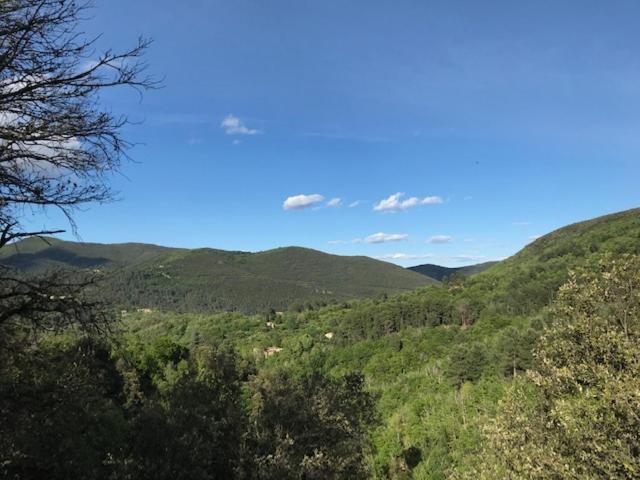Chambre D'Hote Lavande - Le Soleil Des Cevennes Saint-Jean-du-Gard Exteriér fotografie