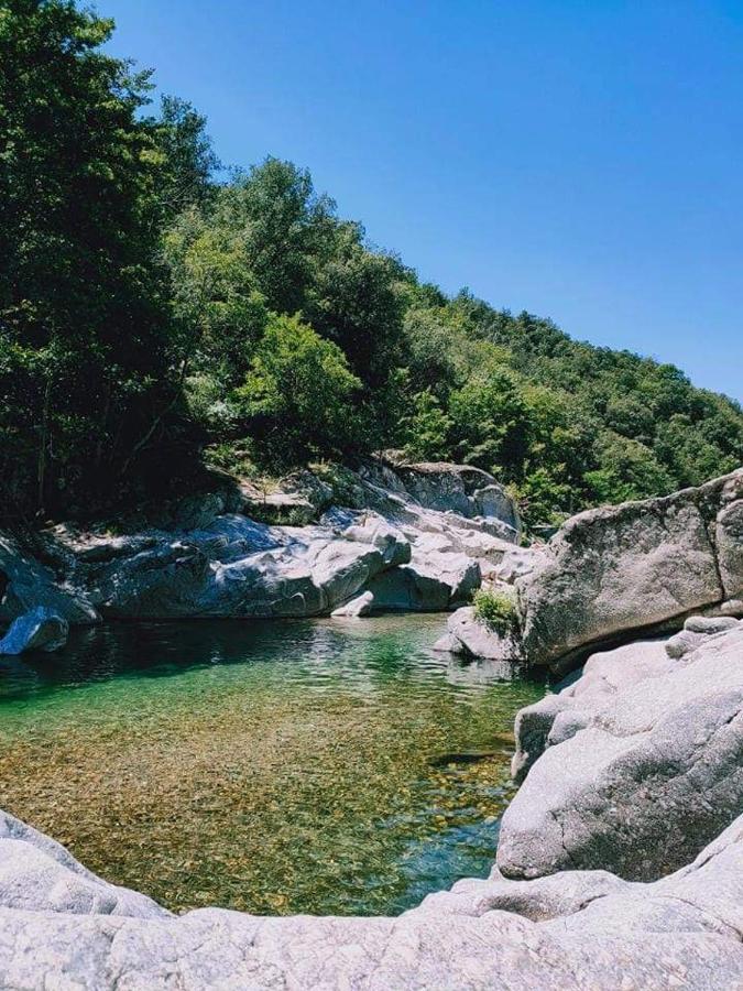 Chambre D'Hote Lavande - Le Soleil Des Cevennes Saint-Jean-du-Gard Exteriér fotografie